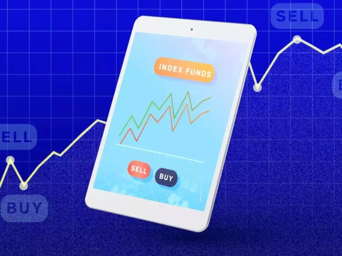 5-venture novice’s way maker to investing in index funds